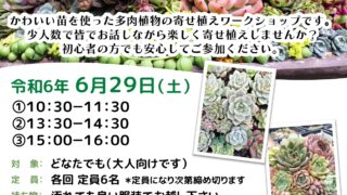 明日開催！】6/29(土)多肉植物の寄せ植えワークショップ | 豊春会